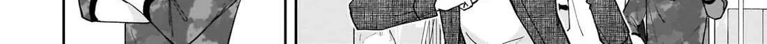 Net No 