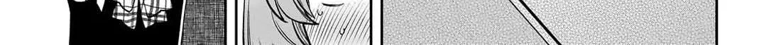 Net No 