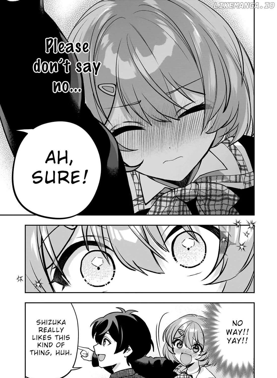 Net No 