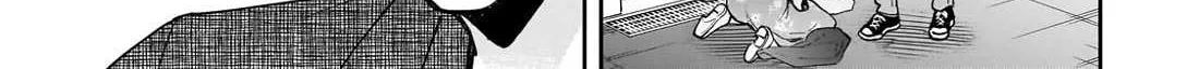 Net No 