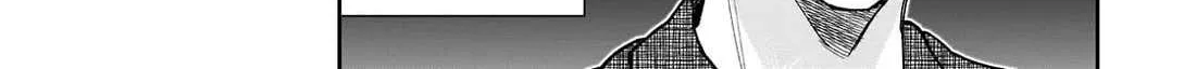 Net No 