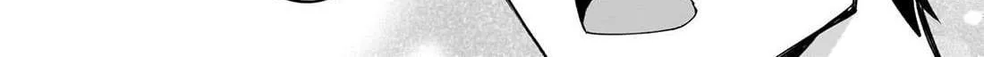 Net No 
