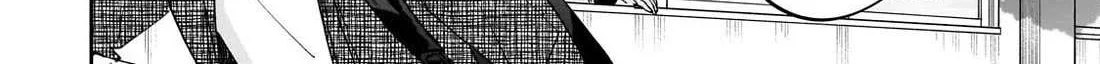 Net No 