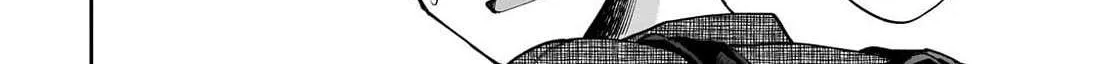 Net No 