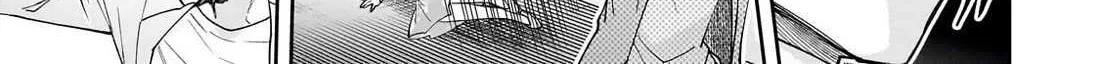 Net No 
