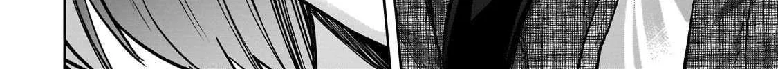 Net No 