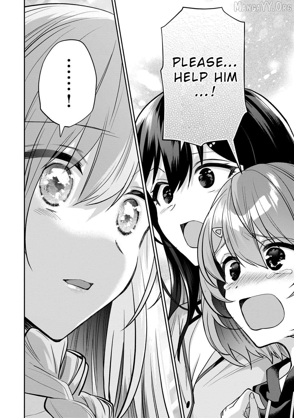 Net No 