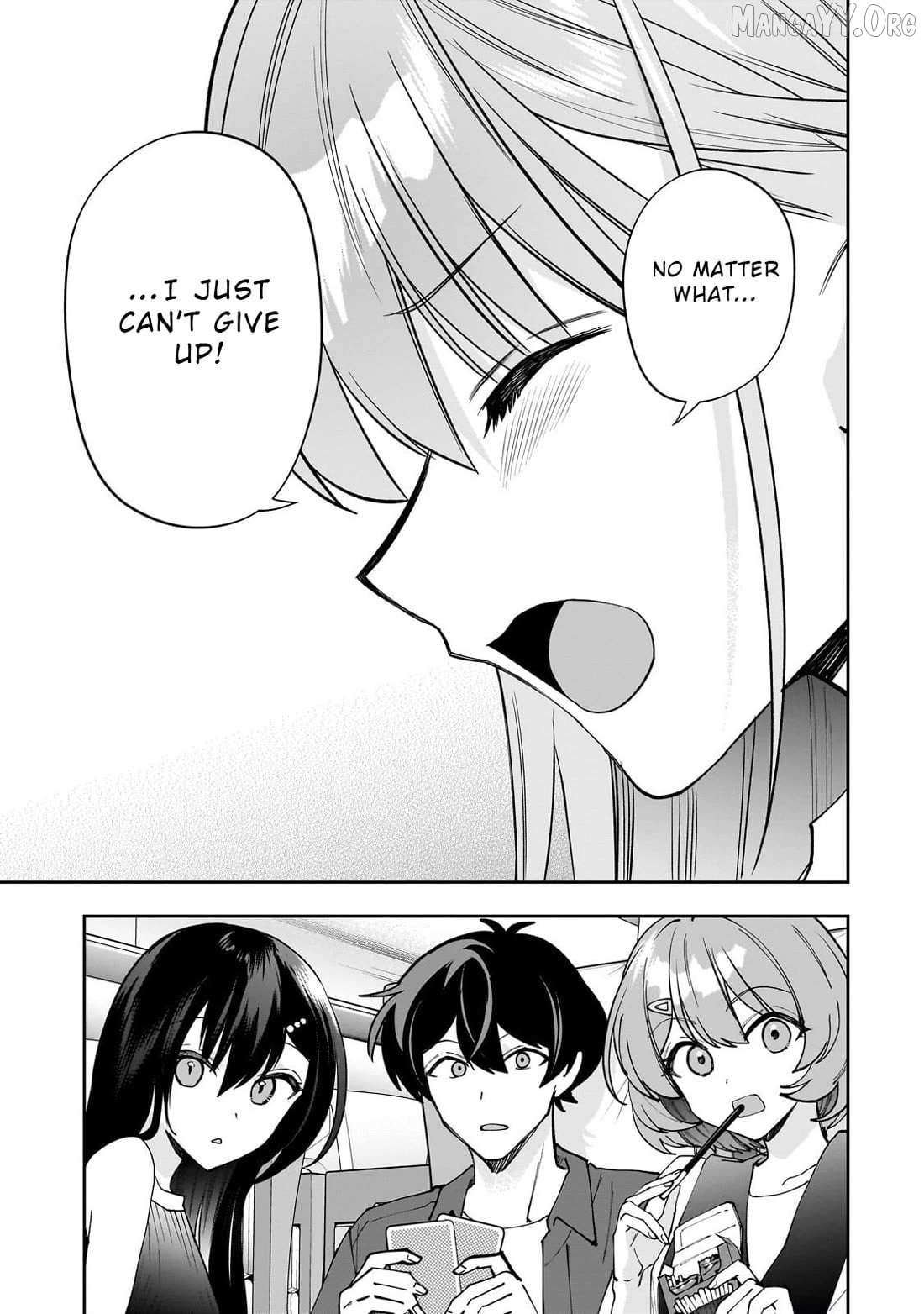 Net No 