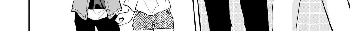 Net No 