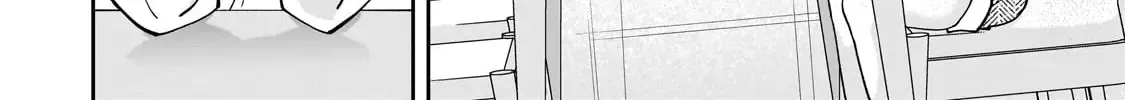 Net No 