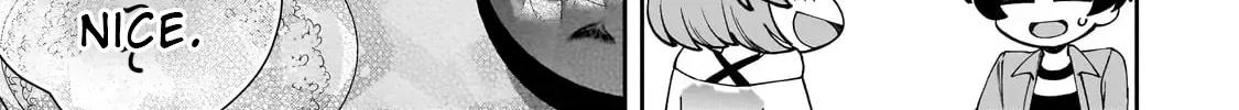Net No 