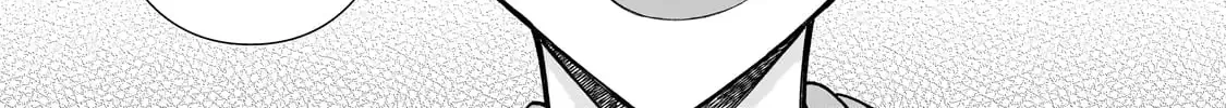 Net No 