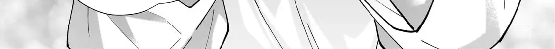 Net No 