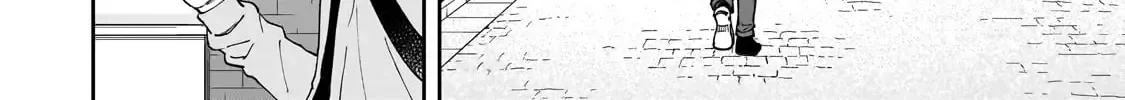 Net No 