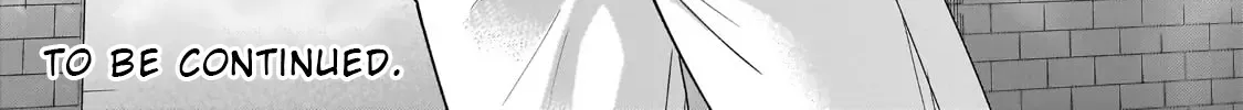Net No 