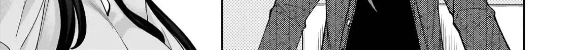 Net No 