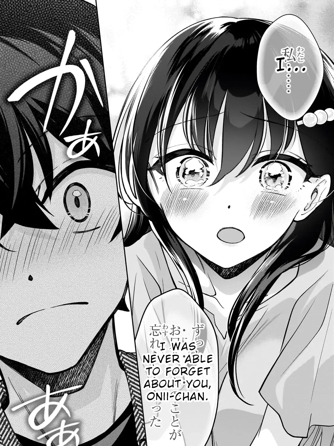 Net No 