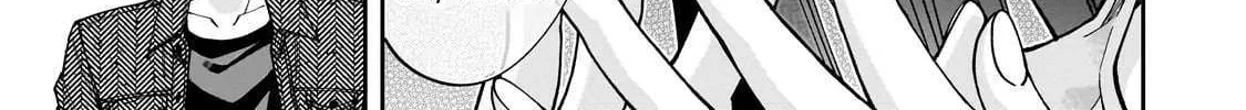 Net No 