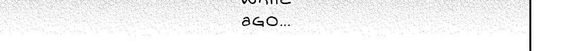 Net No 