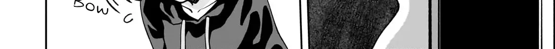 Net No 