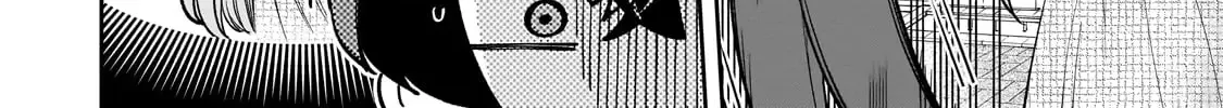 Net No 