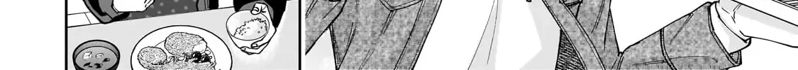 Net No 