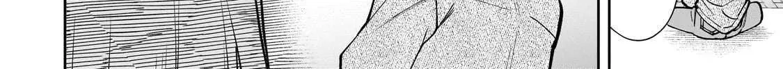 Net No 