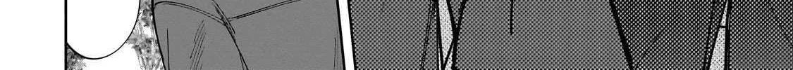 Net No 