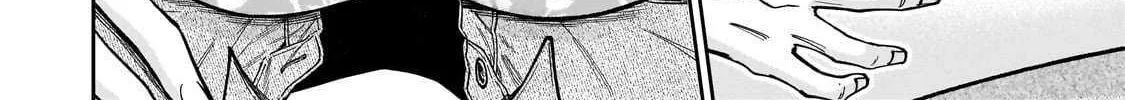 Net No 