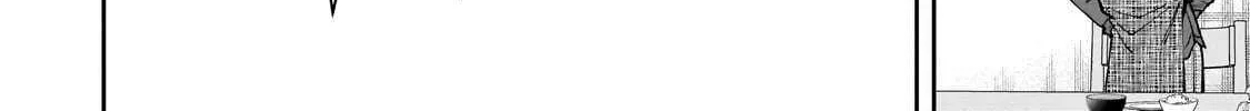 Net No 