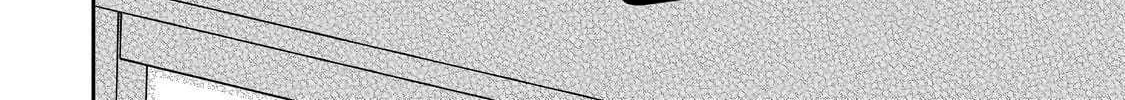 Net No 