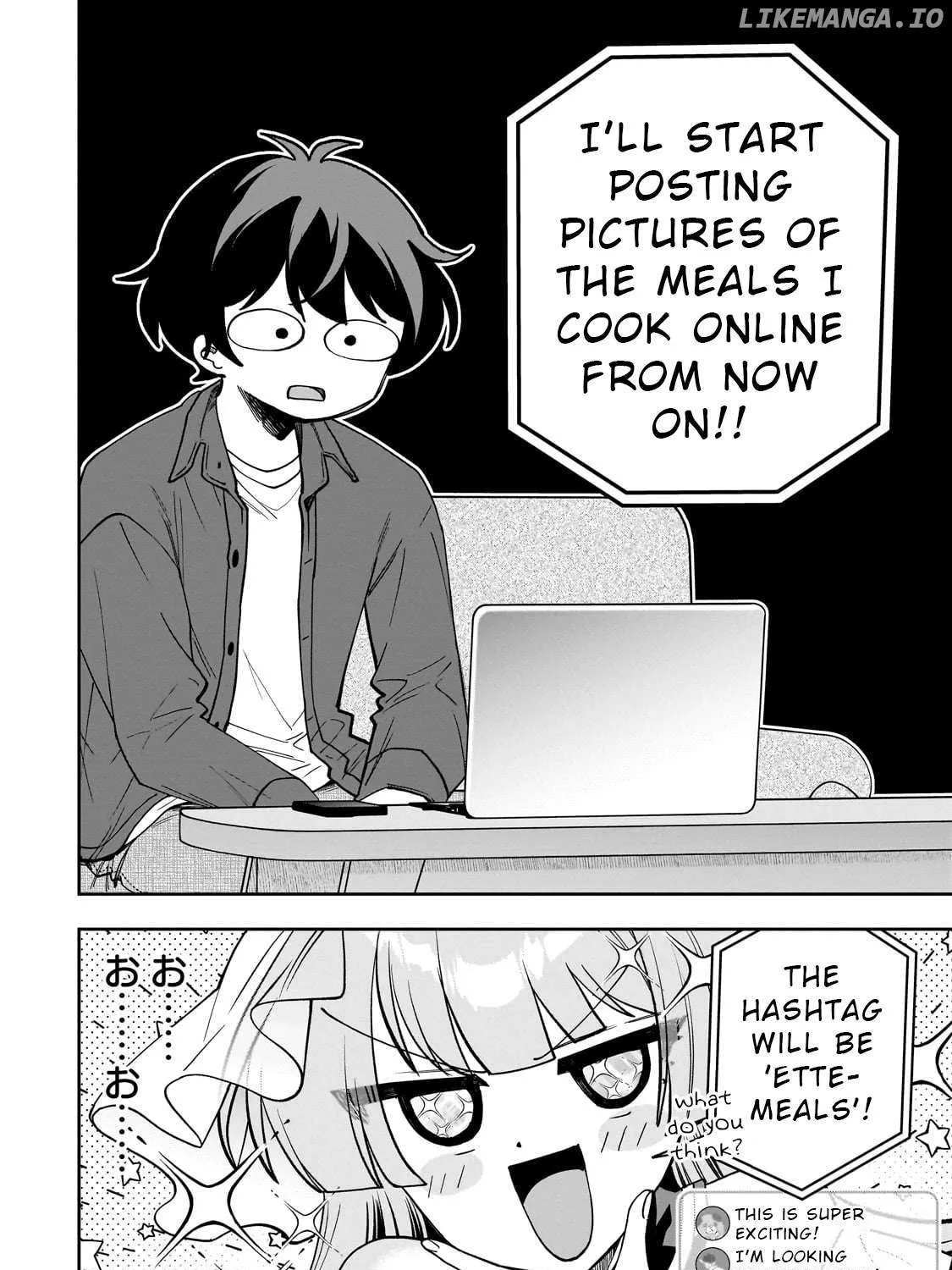 Net No 