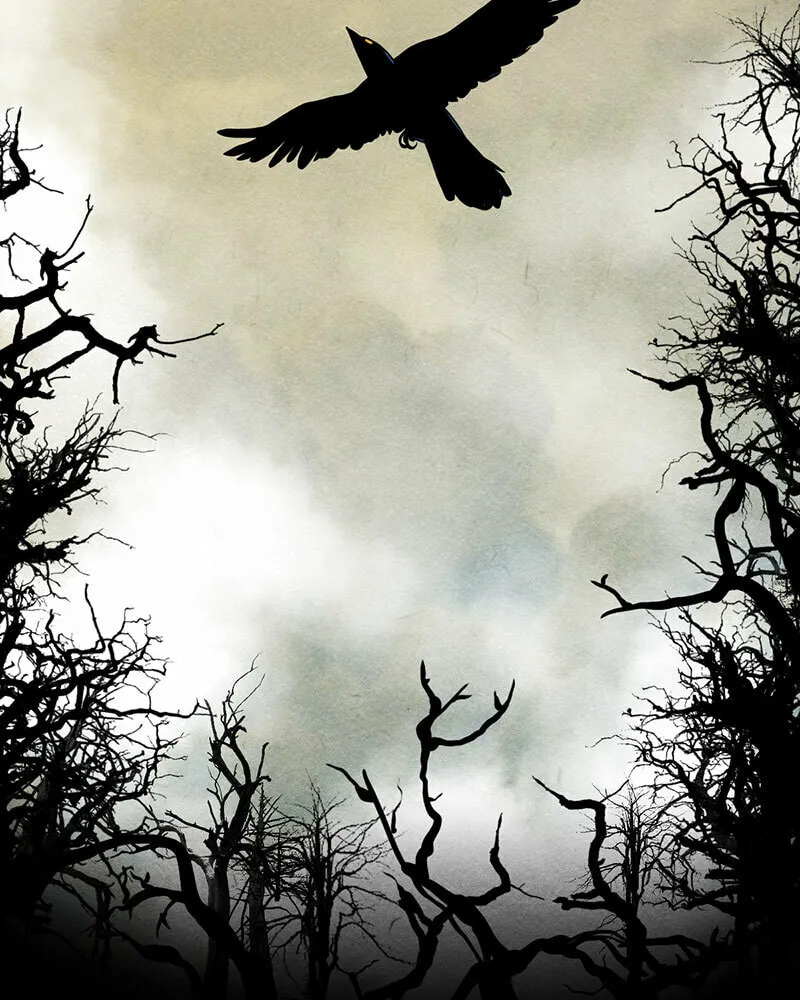 Nevermore (Kate Flynn) Chapter 1 page 8 - 
