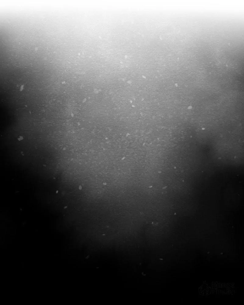 Nevermore (Kate Flynn) Chapter 30 page 3 - 