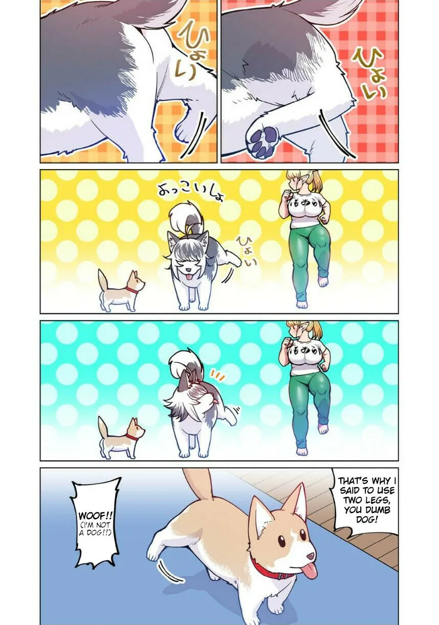 New Elf Can't on a Diet. (Colored) Chapter 4 page 23 - 