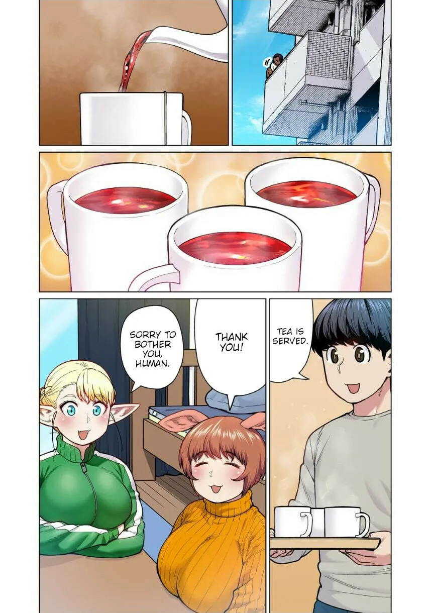New Elf Can't on a Diet. (Colored) Chapter 5 page 2 - 