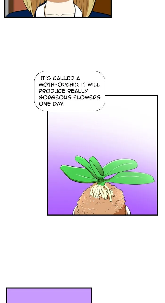 New Normal: Class 8 Chapter 183 page 27 - 