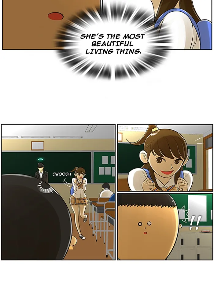 New Normal: Class 8 Chapter 4 page 14 - 