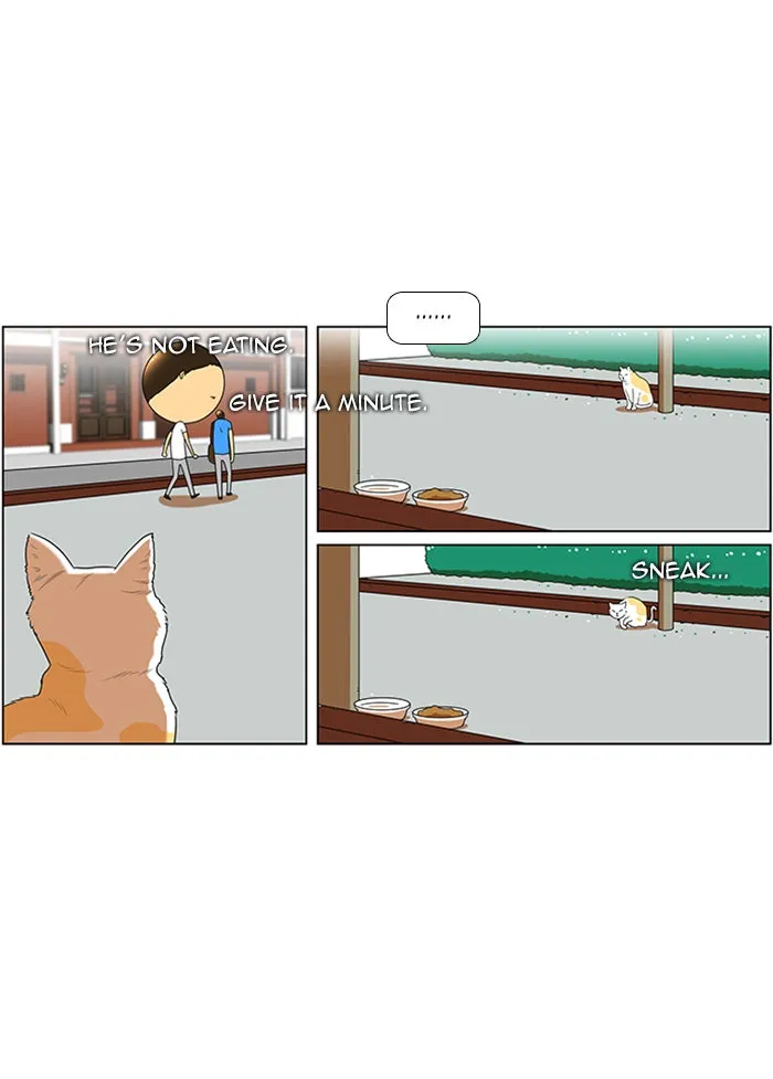 New Normal: Class 8 Chapter 51 page 14 - 