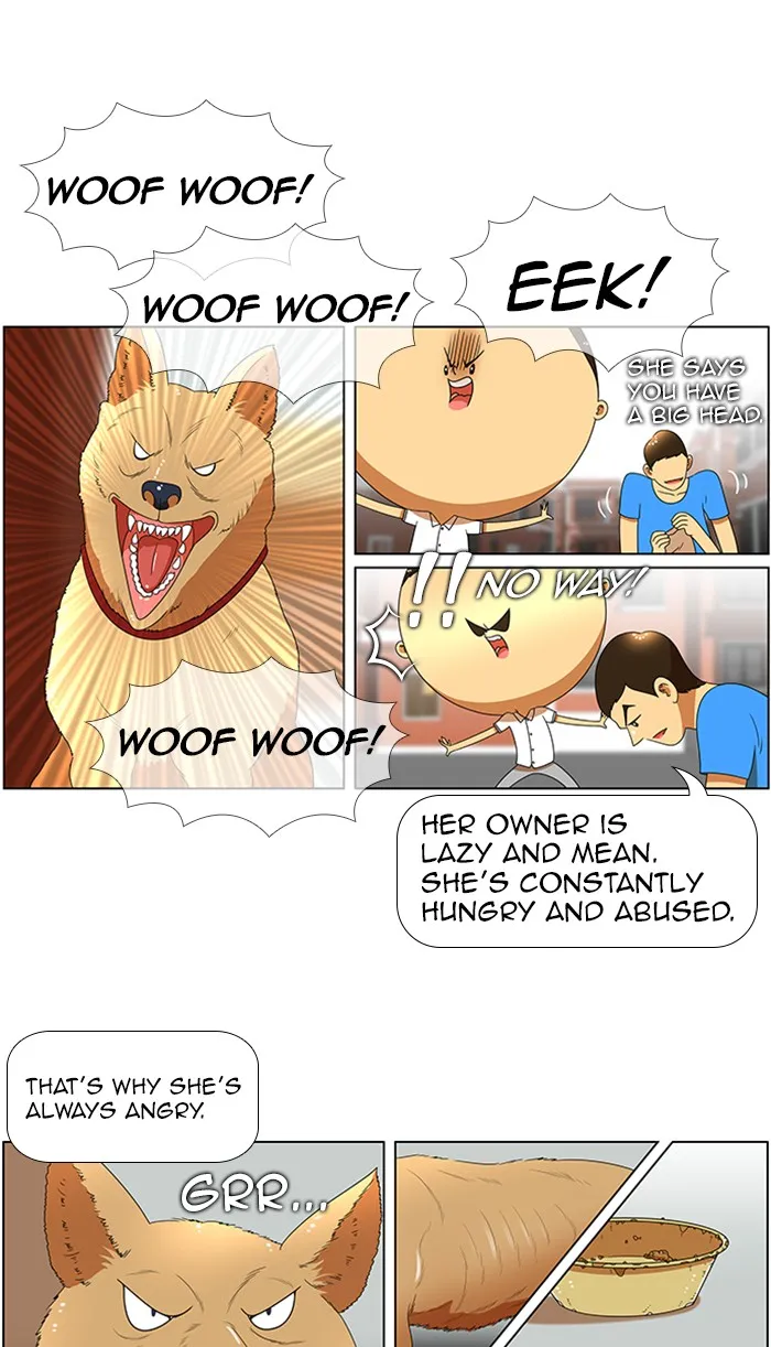 New Normal: Class 8 Chapter 51 page 19 - 
