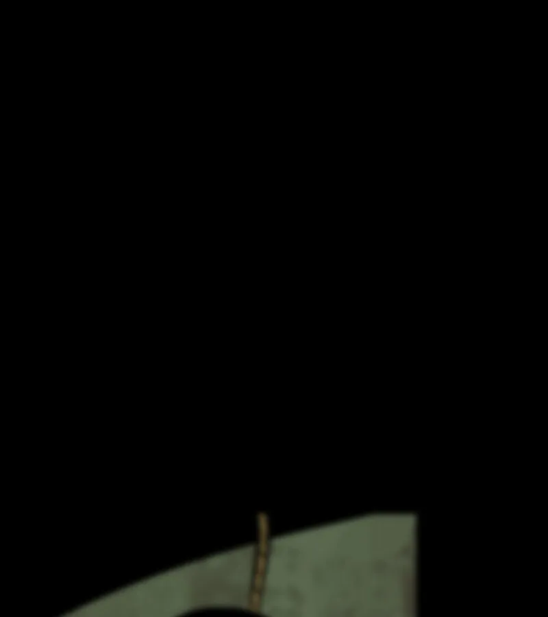 Newman Chapter 108 page 11 - 