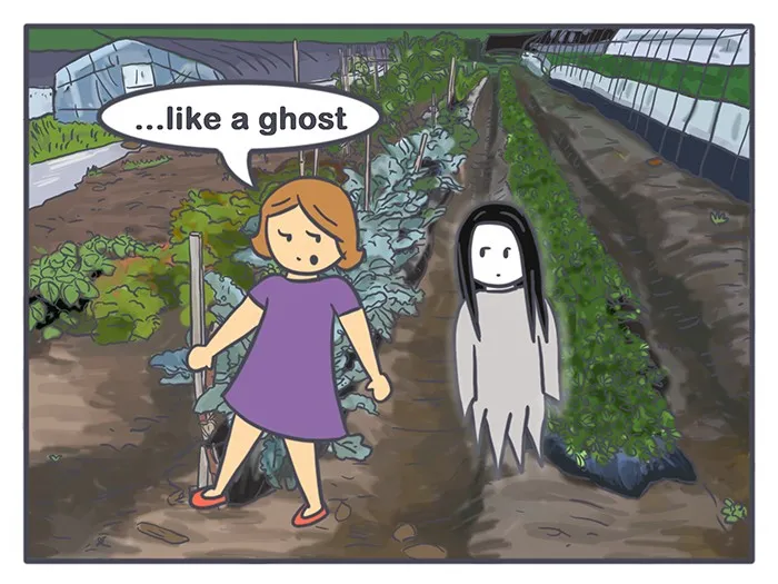 Nicholalala Chapter 81 page 5 - 