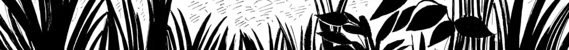 Nicola Traveling Around the Demons’ World Chapter 18 page 74 - 