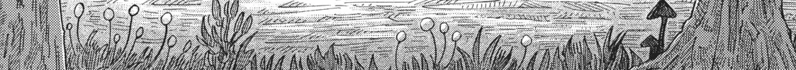 Nicola Traveling Around the Demons’ World Chapter 18 page 94 - 