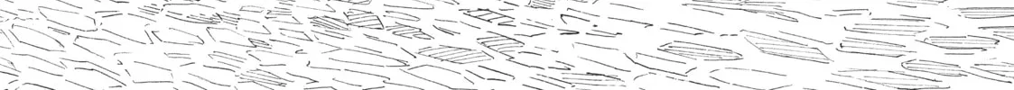 Nicola Traveling Around the Demons’ World Chapter 21 page 2 - 
