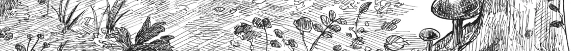 Nicola Traveling Around the Demons’ World Chapter 4 page 2 - 