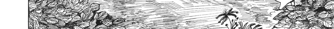 Nicola Traveling Around the Demons’ World Chapter 8 page 4 - 