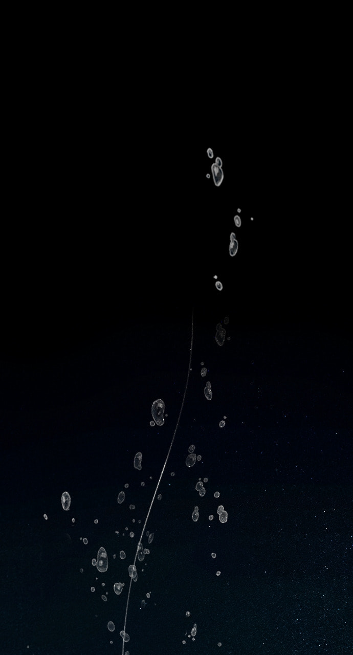 Night Fishing Chapter 32 page 168 - 