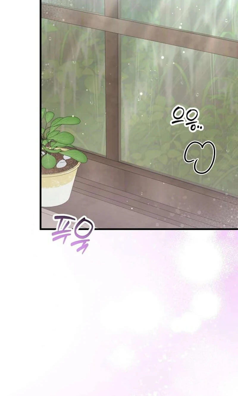 Night of the Four Seasons Chapter 17 page 41 - 