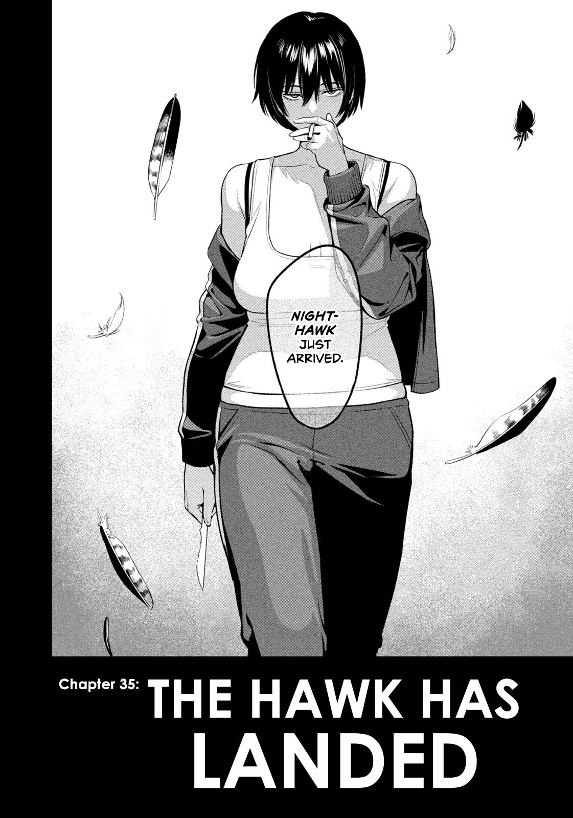 Nighthawk Returns Chapter 35 page 18 - 